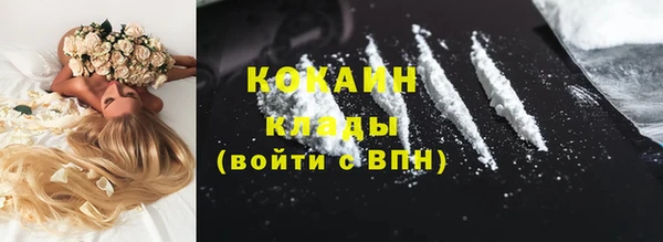 хмурый Верея
