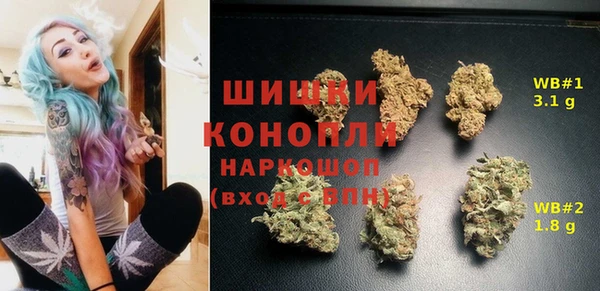молекула духа Волосово