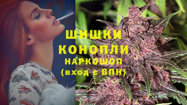 молекула духа Волосово