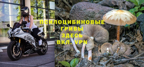 молекула духа Волосово